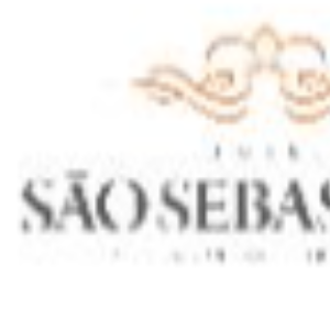 HOTEL SAO SEBASTIAO DA PRAIA