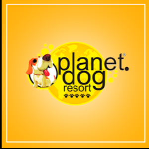 Planet Dog Resort - Brooklin